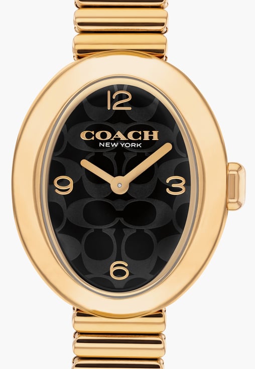 Sammy Women Quartz Black Dial Analog Stainless Steel Watch 14504571