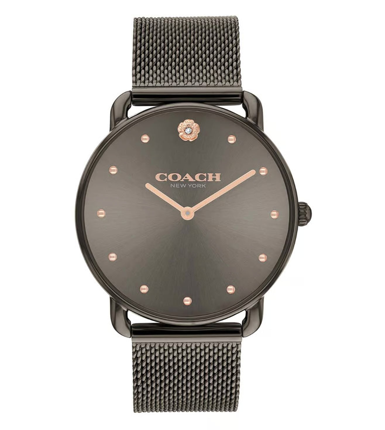 Elliot Women Quartz Grey Dial Analog Mesh Watch 14504210