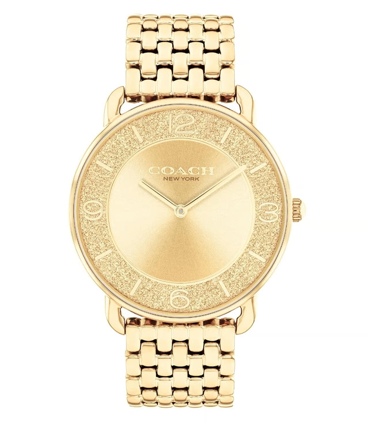 Elliot Women Quartz Gold Dial Analog Stainless Steel Watch 14504374