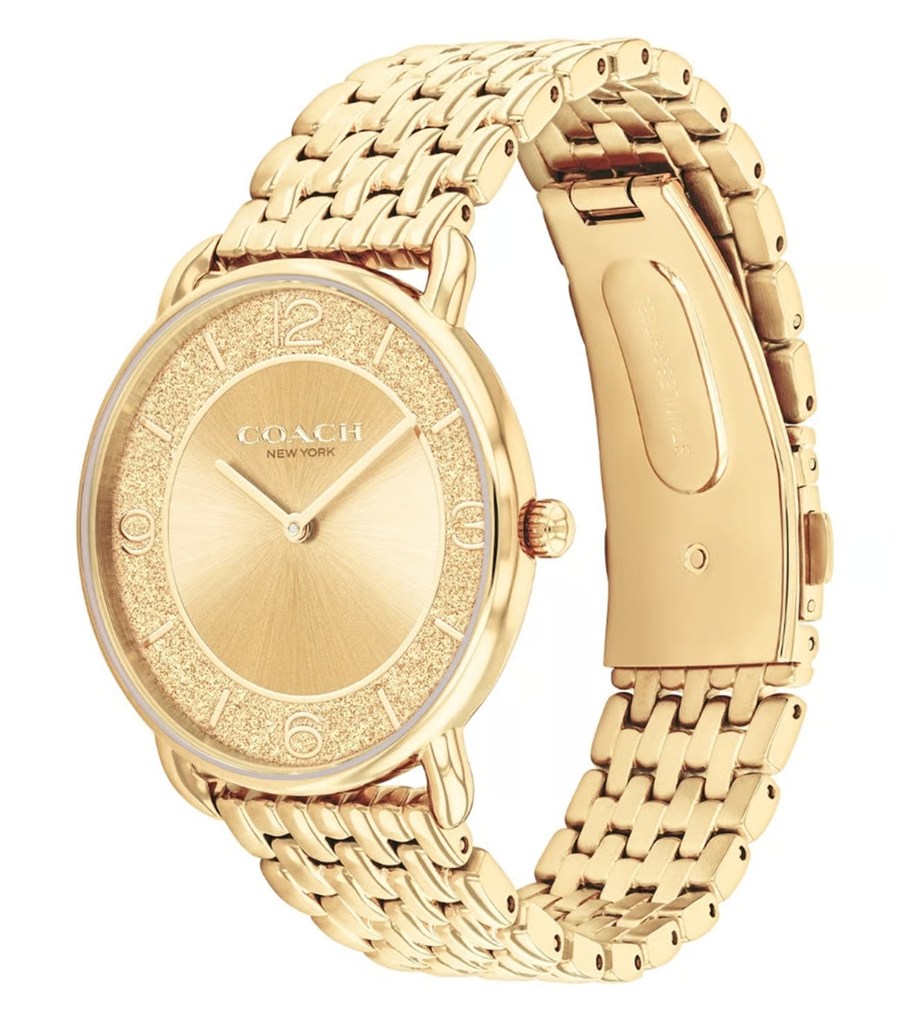 Elliot Women Quartz Gold Dial Analog Stainless Steel Watch 14504374