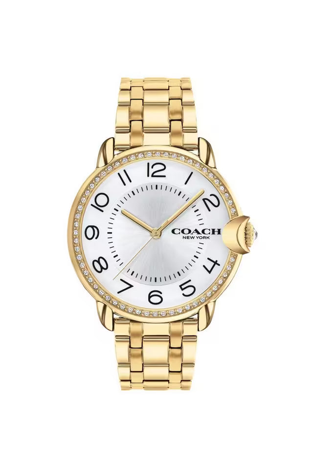 Arden Women Quartz Silver Dial Analog Stainless Steel Watch 14503810