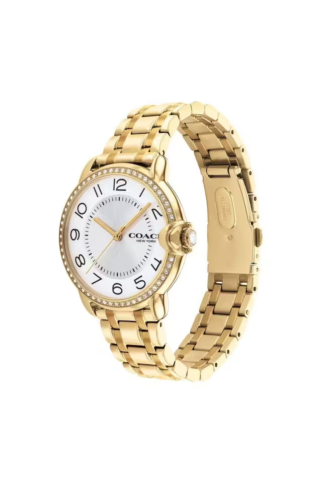 Arden Women Quartz Silver Dial Analog Stainless Steel Watch 14503810